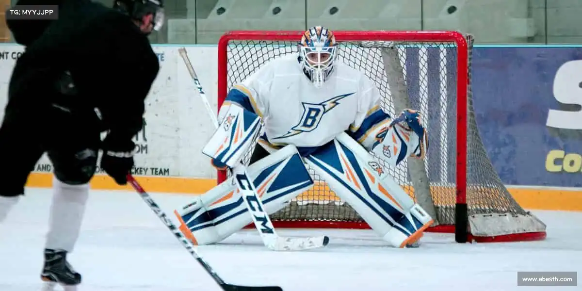 行业领先的理由